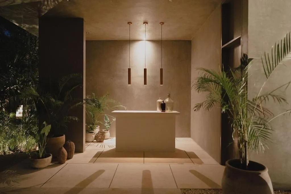 Seremonia Origen Tulum 0*,